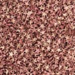 Confetti #558